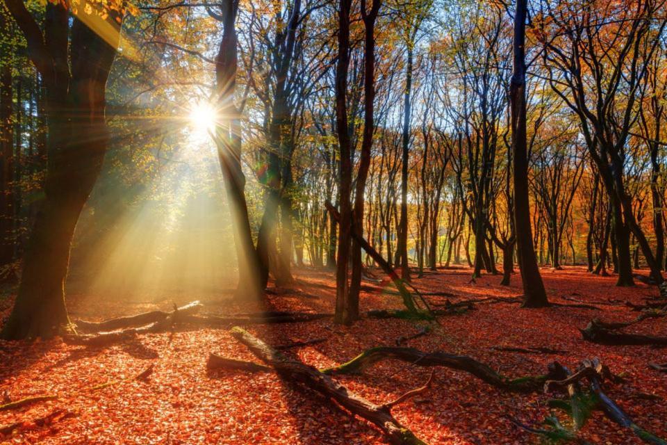 Enjoy Nature, Nice Stay And Beautiful Surroundings 푸텐 외부 사진